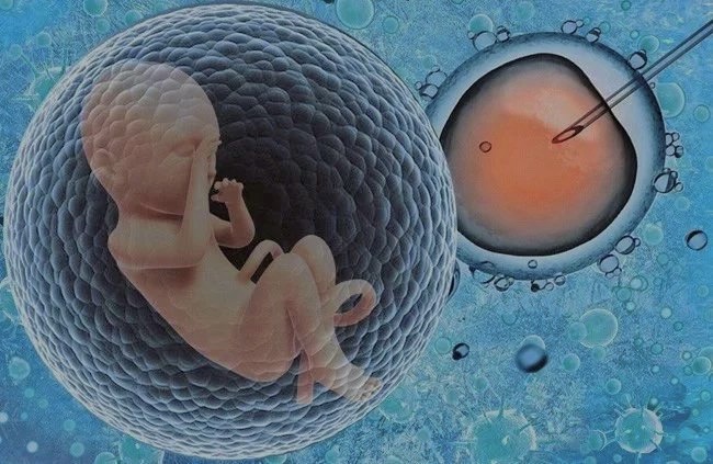 澳银Family| “我们期待试管婴儿的技术升级可以为更多家庭带来些许光亮”