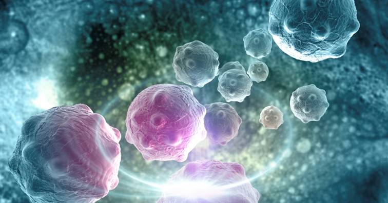 澳银Family | 澳银资本联合领投华赛伯曼 聚焦实体肿瘤细胞治疗